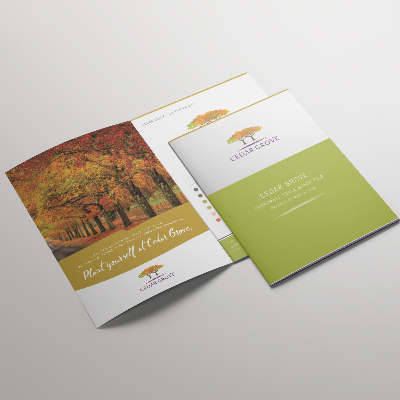 Cedar Grove – Corporate Branding