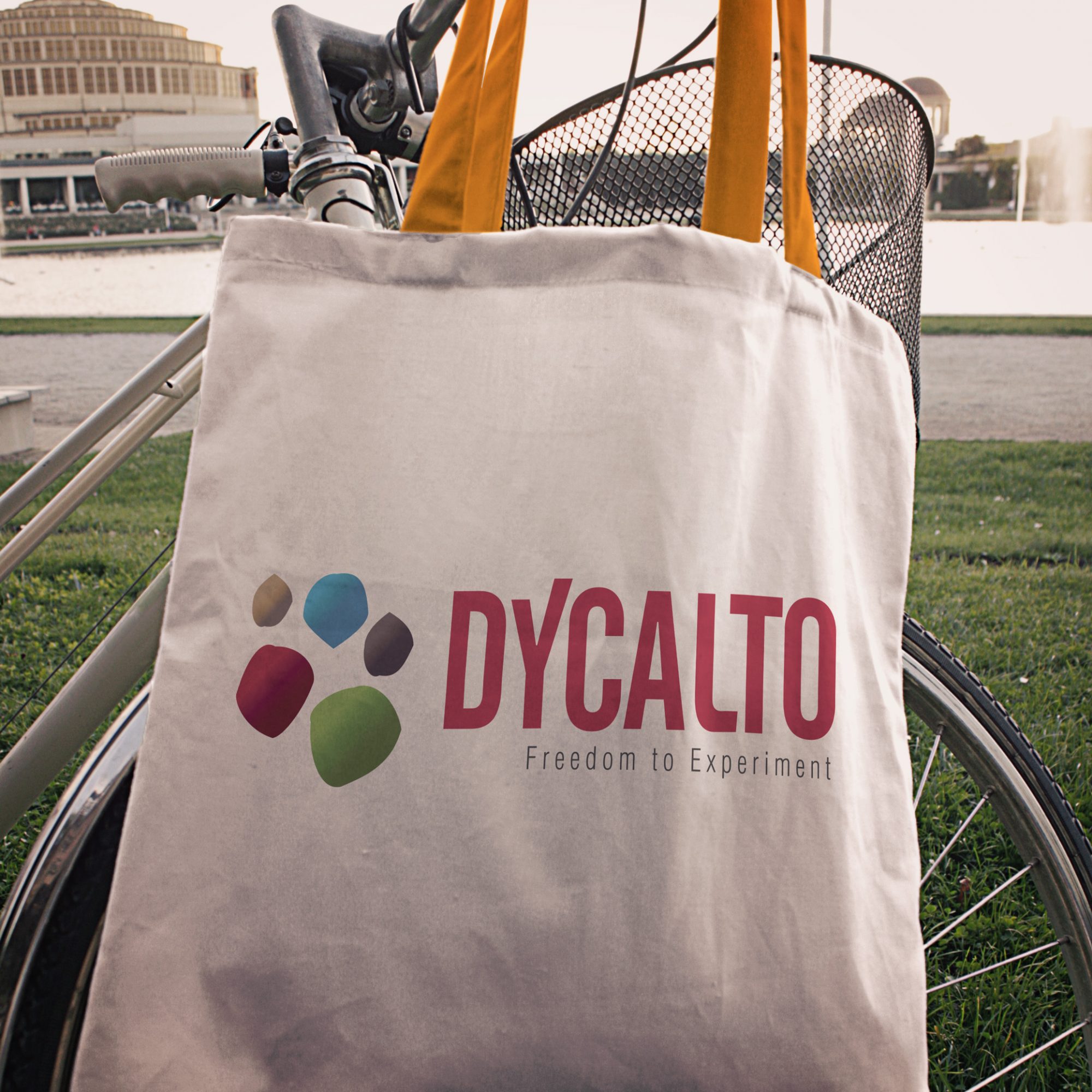 Dycalto – Logo