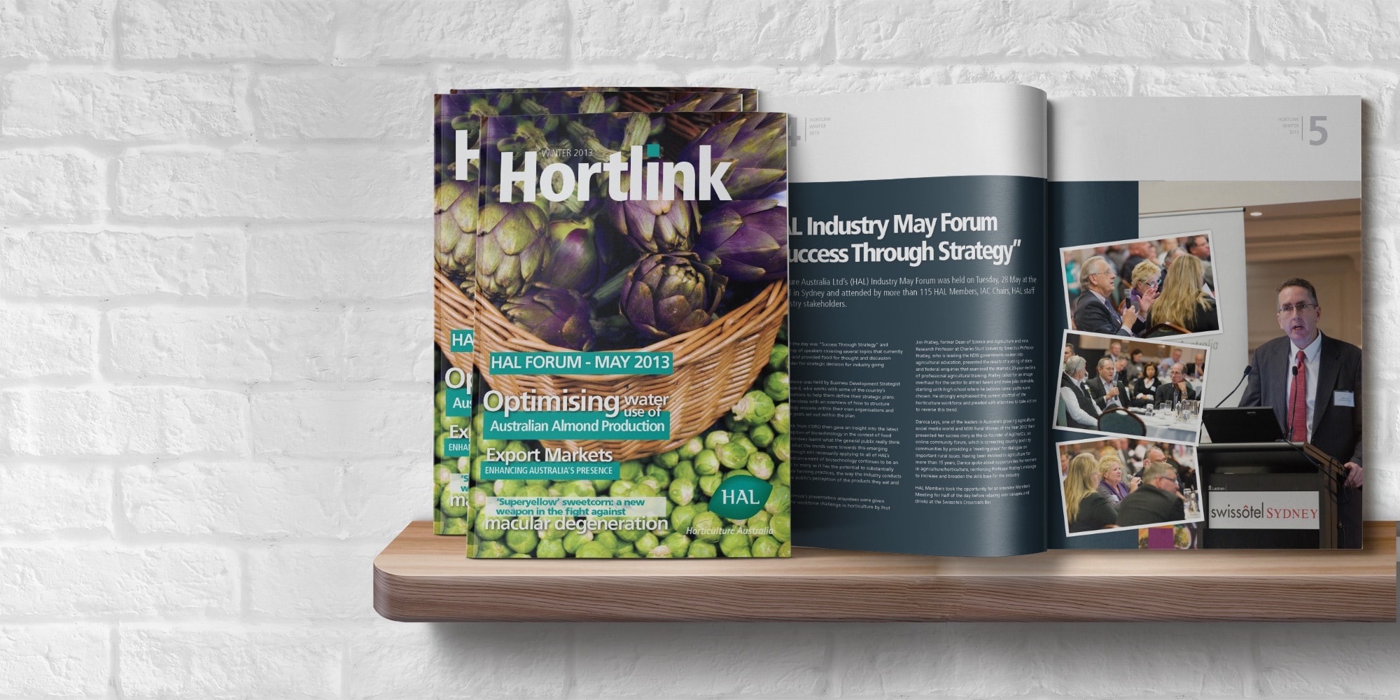 hortlink-LS